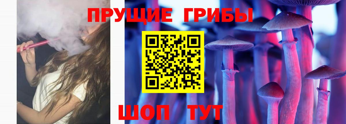 Мариинск  Галлюциногенные грибы Cubensis  Вход с VPN 